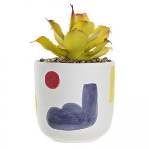 Plant Dolomite in Ceramic Pot