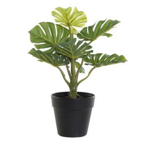 Plant Pot Adan'S Rib Green