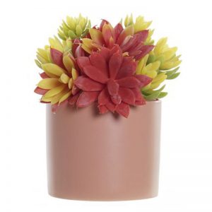 Plant Stoneware Lotus 