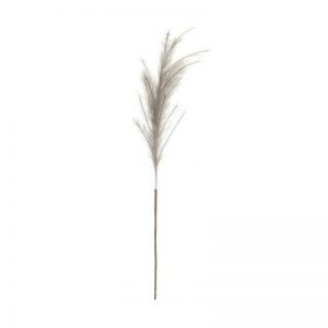 Branch Feather Dark Grey