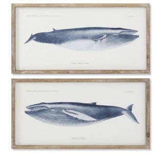 Picture Glass Spruce Whale Framed Set 2pcs