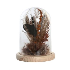 Decoration Dry Flower Glass