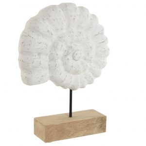 Decoration Mango Iron Conch White