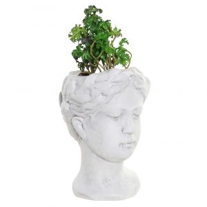 Plant Terracotta Woman White