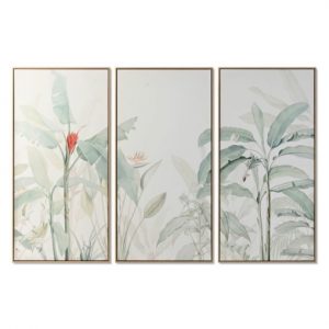 Picture Set 3 Canvas Tropical Framed